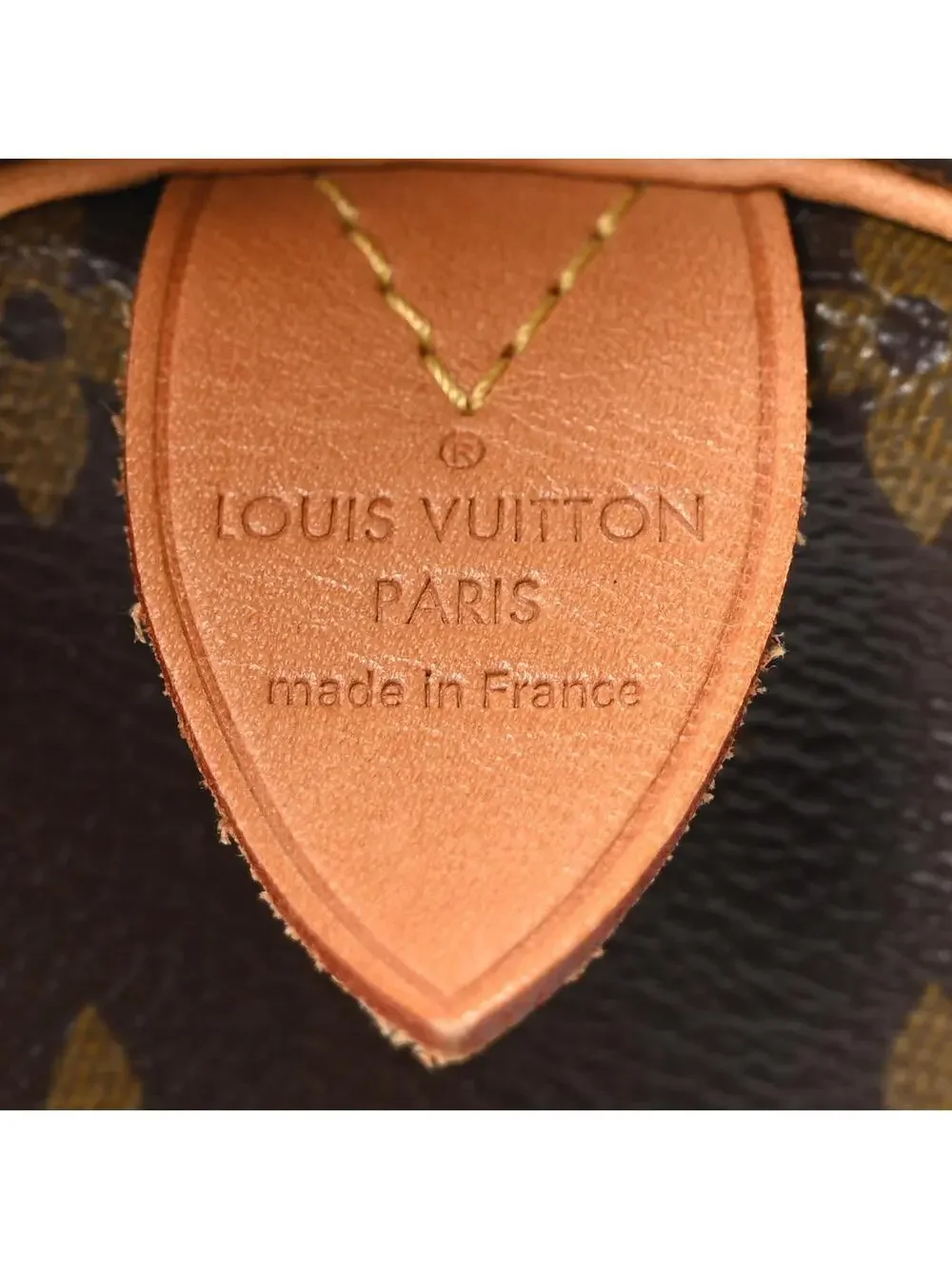 Louis Vuitton Speedy 30 V Grenade #329970L14B